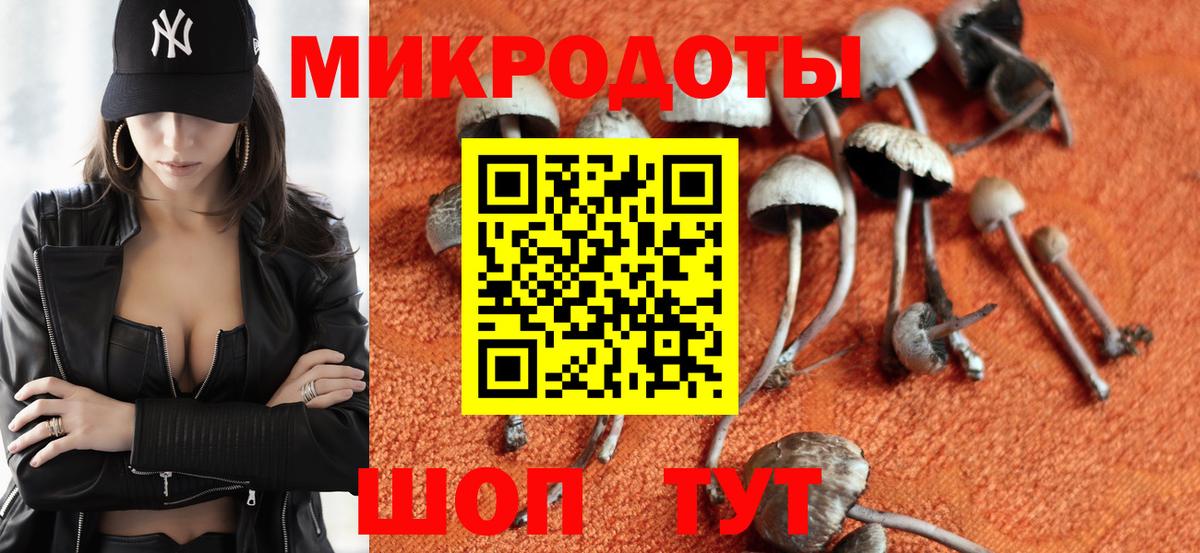 Псилоцибиновые грибы мухоморы Саров