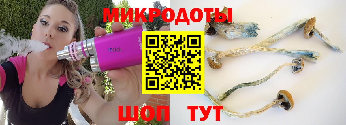 Галлюциногенные грибы мухоморы  Вход с VPN  Псилоцибиновые грибы MAGIC MUSHROOMS  Саров 